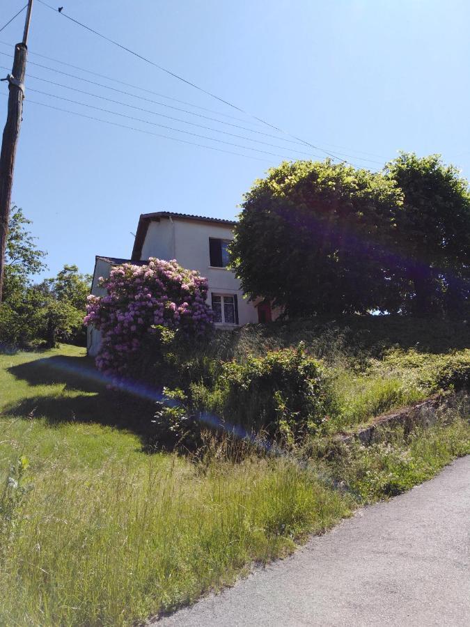 Chez Patricia Villa Cransac Dış mekan fotoğraf